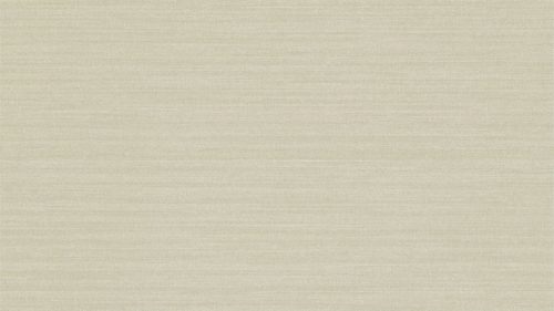 Tussah Silk ZPAW07001